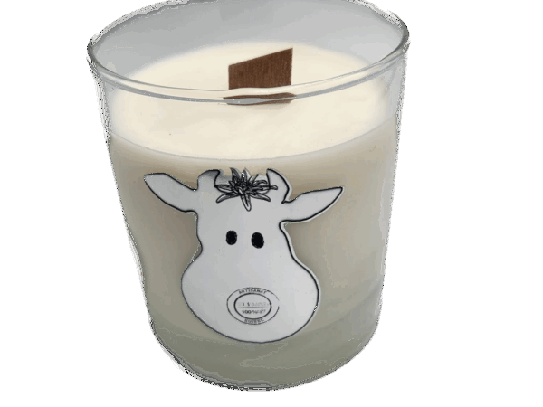 LES BOUGIES DE BARBARA - Collection Modzon 250g